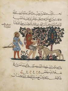 ディオスコリデスによるマテリア・メディカのアラビア語訳からのフォリオ 作： Pedanius Dioscorides